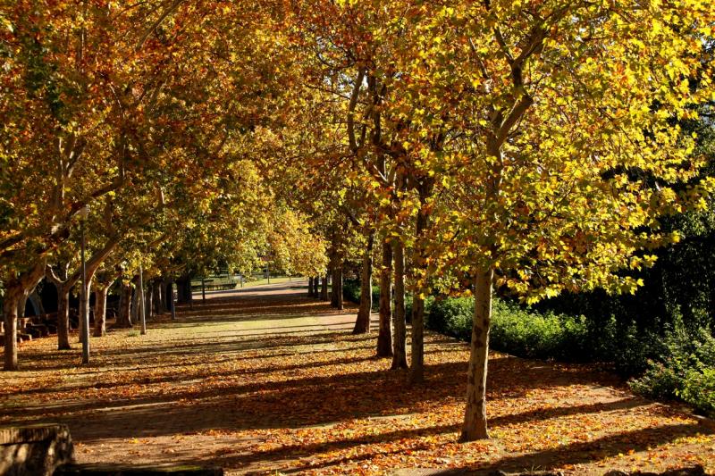 Así ha sido el otoño en Extremadura