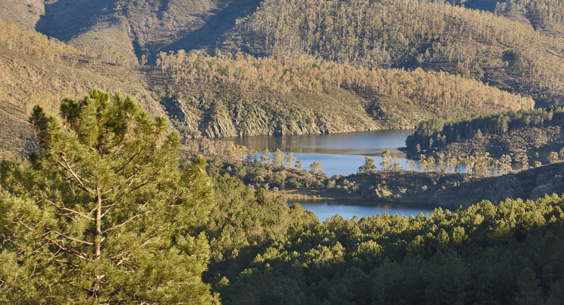 Casi dos millones de euros en ayudas forestales en Extremadura