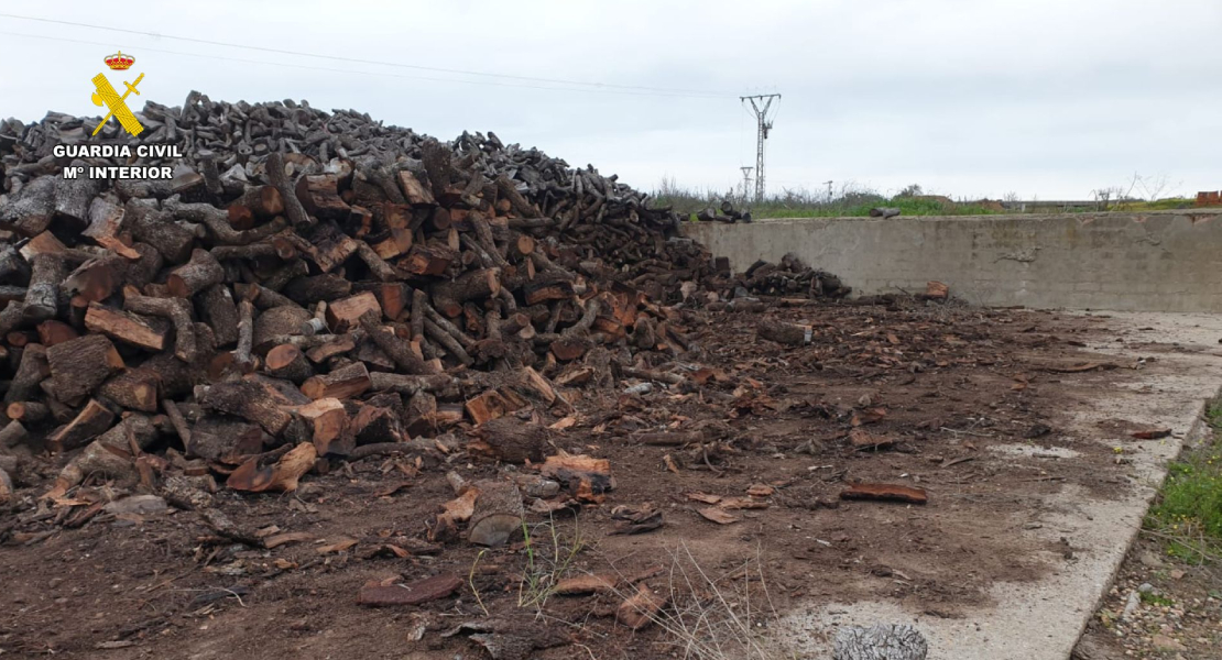 Investigan a un extremeño por robar 15.000 kg de leña