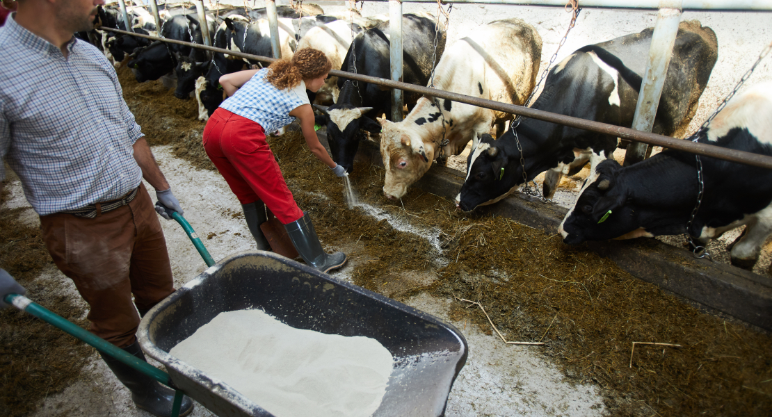 Estas son las propuestas realizadas para asegurar el relevo generacional en el campo