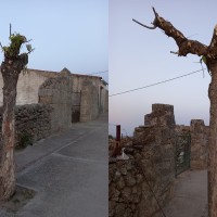 Un ayuntamiento extremeño nominado a un premio por sus malas prácticas en zonas verdes