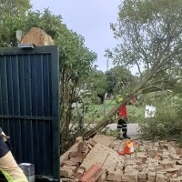 Cuantiosos destrozos a las afueras de Badajoz tras el paso de un vendaval esta madrugada