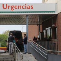 Dos perros atacan y muerden a un hombre en Badajoz