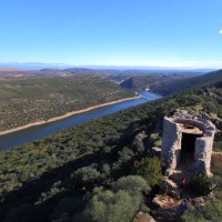 Se posicionan en contra de las batidas con perros en Monfragüe