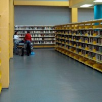 La ciencia y la mujer, protagonistas de las actividades de las bibliotecas extremeñas