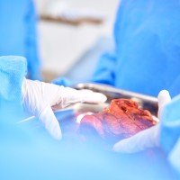 España bate récords en donación y trasplante de órganos
