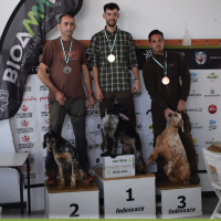 Ya se conoce el Campeón de Extremadura de Becada 2024 de FEDEXCAZA