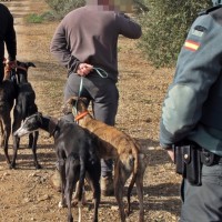 Sorprenden en plena cacería a tres furtivos de Mérida