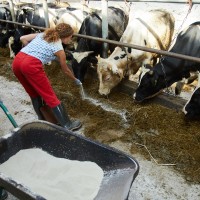 Estas son las propuestas para asegurar el relevo generacional en el campo