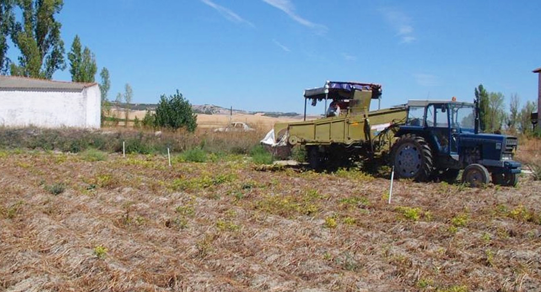 Destinan más de 2 millones de euros en ayudas extraordinarias para la sequía en Extremadura