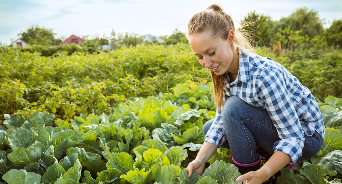 Los jóvenes agricultores recibirán una carta de Hacienda detallando sus beneficios fiscales