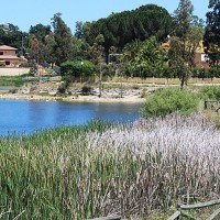 Críticas al Ayuntamiento de Mérida por el estado de varios barrios