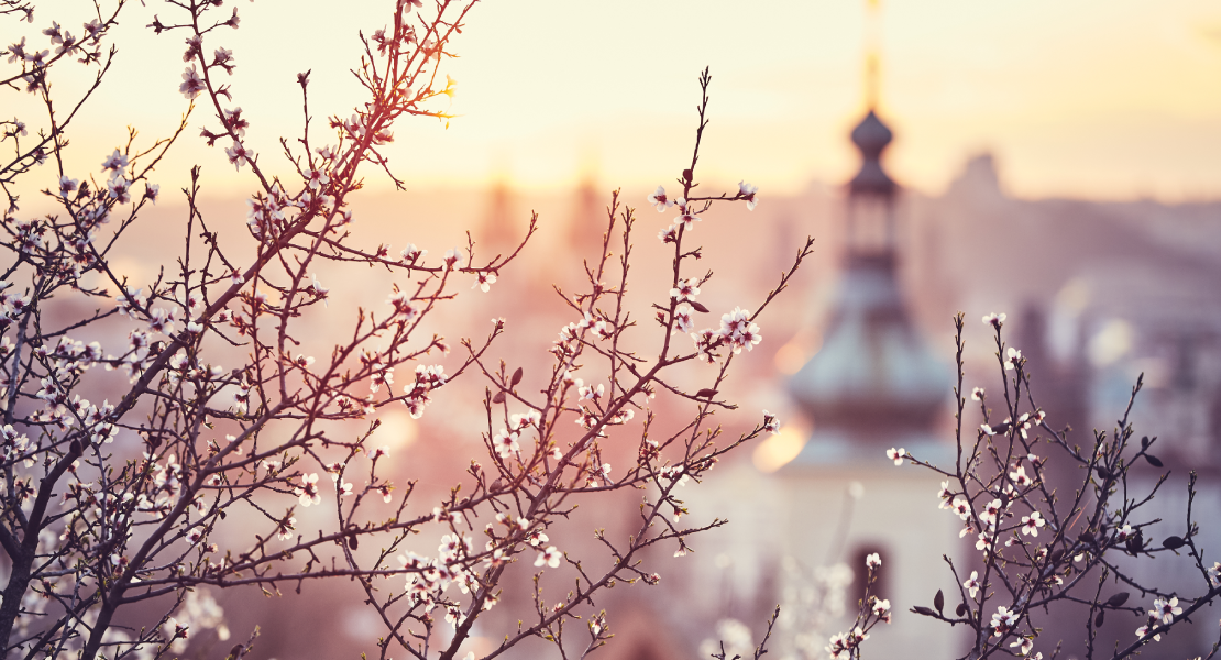 ¿Cuándo comienza la primavera en España?