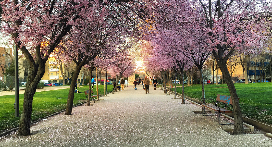 ¿Cómo será la primavera en Extremadura?