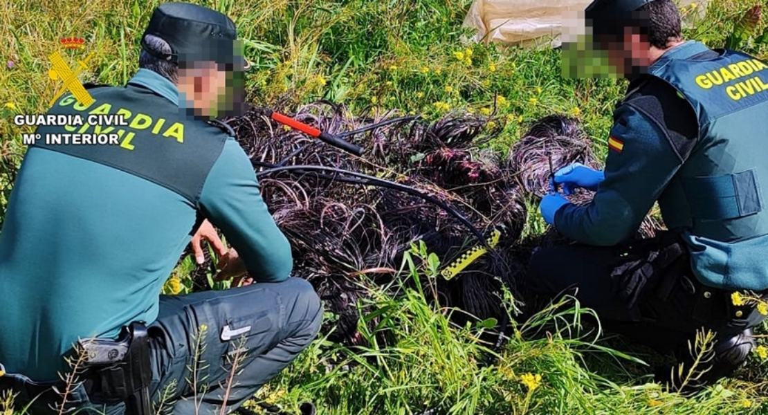 Detienen al supuesto autor del robo y daños en instalaciones eléctricas en Lobón y Arroyo de San Serván