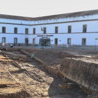 Denuncian un "arboricidio" a las puertas de la Facultad de Comunicación