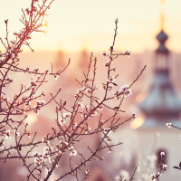 ¿Cuándo comienza la primavera en España?