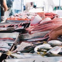 Estudios demuestran que el selenio presente en el pescado contrarresta el contenido de mercurio