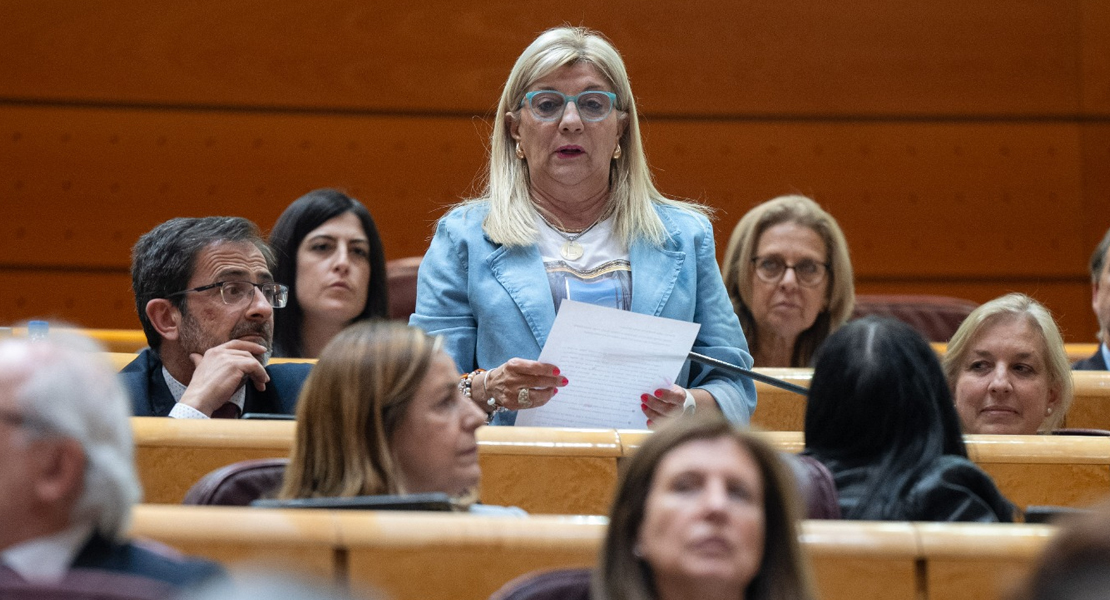 Diputada del PP al ministro de Transportes: “Deje de pulsar el botón de bloqueo a Extremadura”