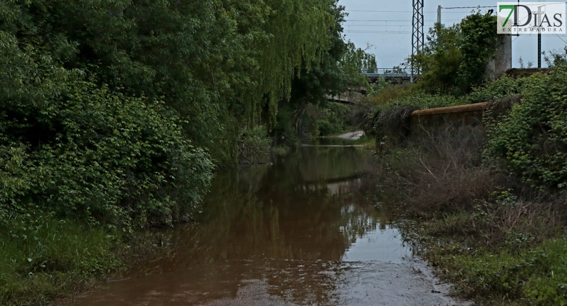 Este es el estado de los arroyos de Los Baldíos tras las precipitaciones de la Borrasca Nelson