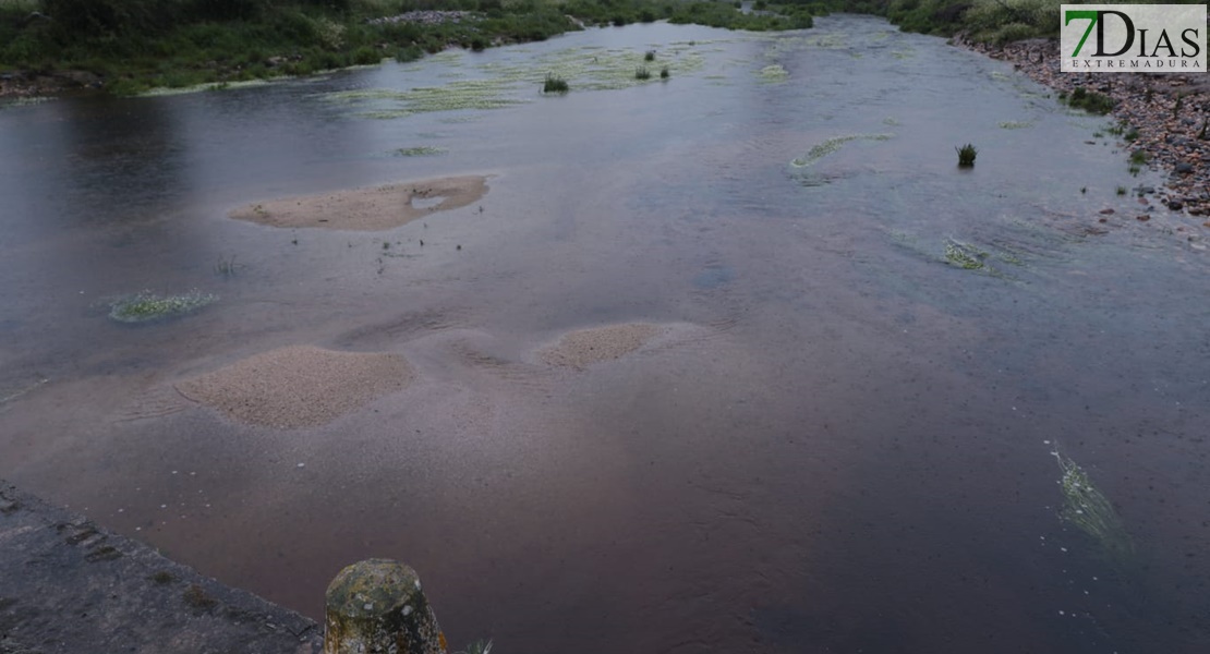 Este es el estado de los arroyos de Los Baldíos tras las precipitaciones de la Borrasca Nelson