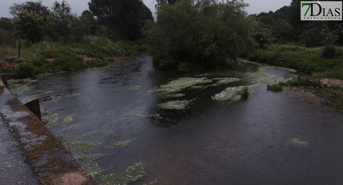 Este es el estado de los arroyos de Los Baldíos tras las precipitaciones de la Borrasca Nelson