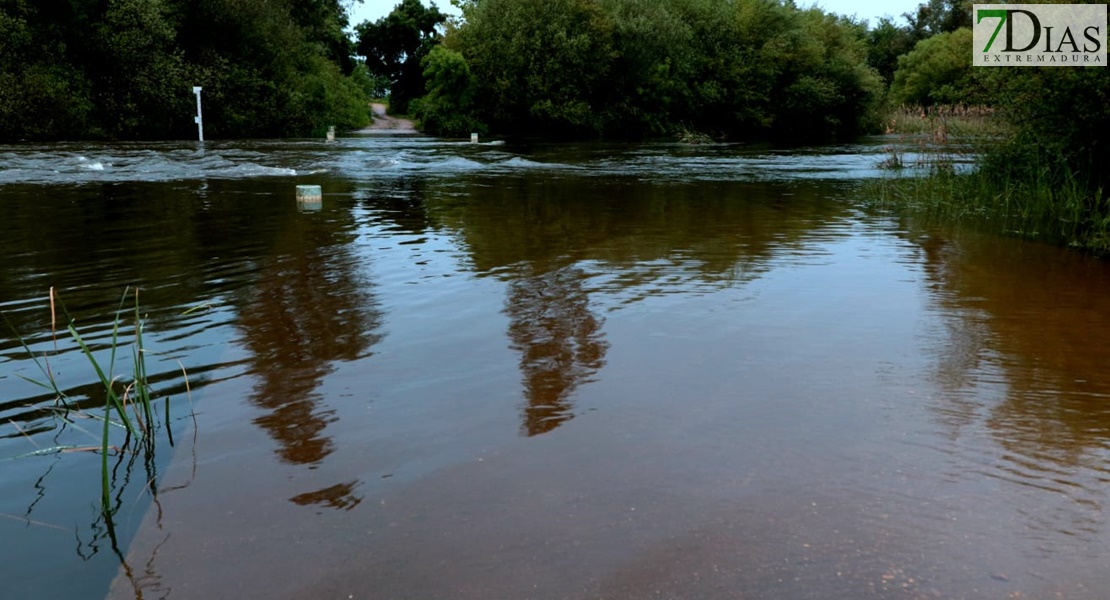 Este es el estado de los arroyos de Los Baldíos tras las precipitaciones de la Borrasca Nelson