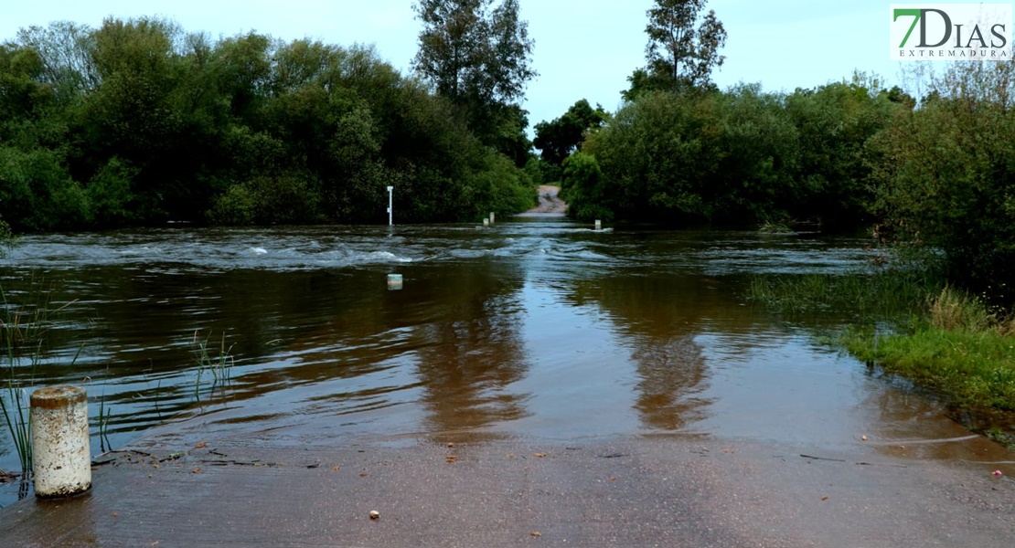 Este es el estado de los arroyos de Los Baldíos tras las precipitaciones de la Borrasca Nelson