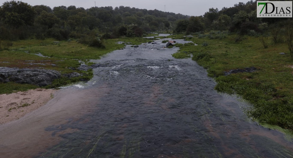 Este es el estado de los arroyos de Los Baldíos tras las precipitaciones de la Borrasca Nelson