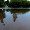 Este es el estado de los arroyos de Los Baldíos tras las precipitaciones de la Borrasca Nelson