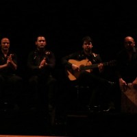 Cuatro espectáculos de flamenco que no debes perderte en Badajoz
