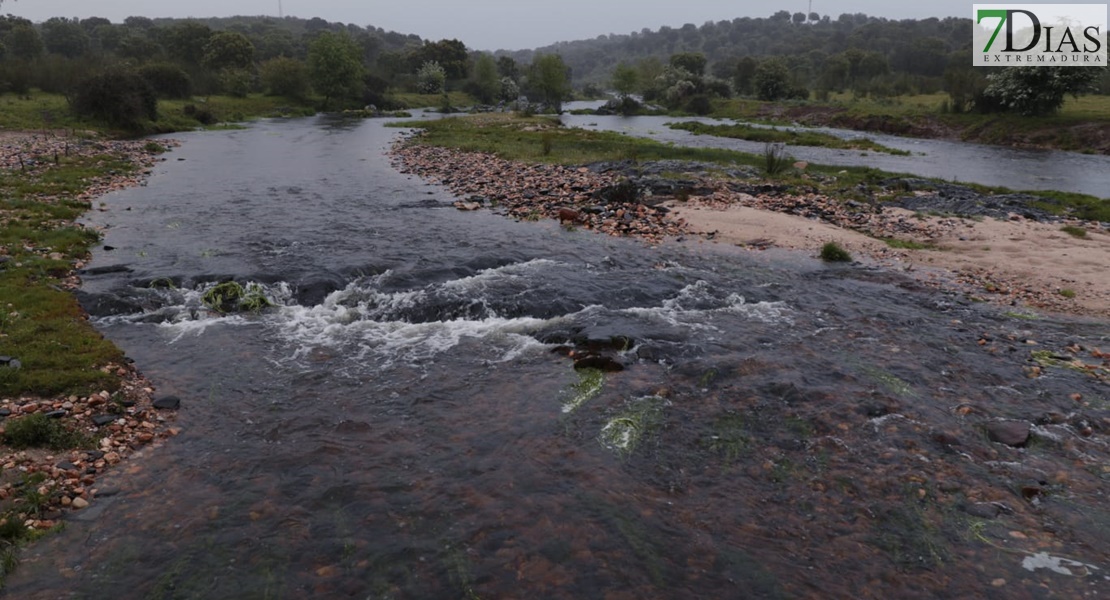 Este es el estado de los arroyos de Los Baldíos tras las precipitaciones de la Borrasca Nelson