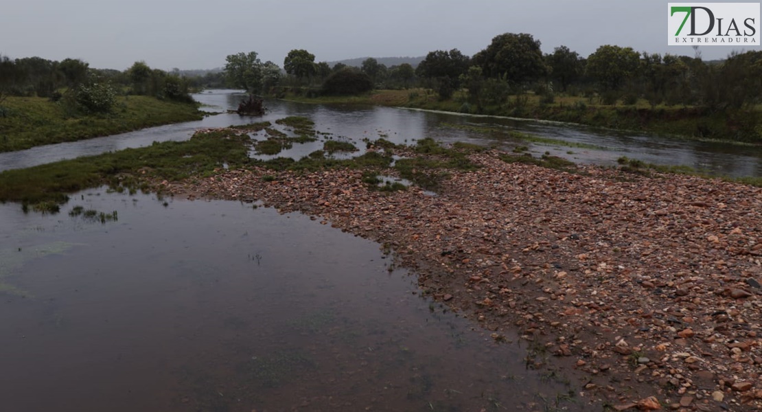 Este es el estado de los arroyos de Los Baldíos tras las precipitaciones de la Borrasca Nelson