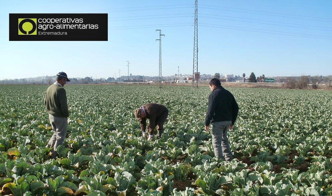 Alertan de la ‘importante’ subida de precios de los seguros agrarios