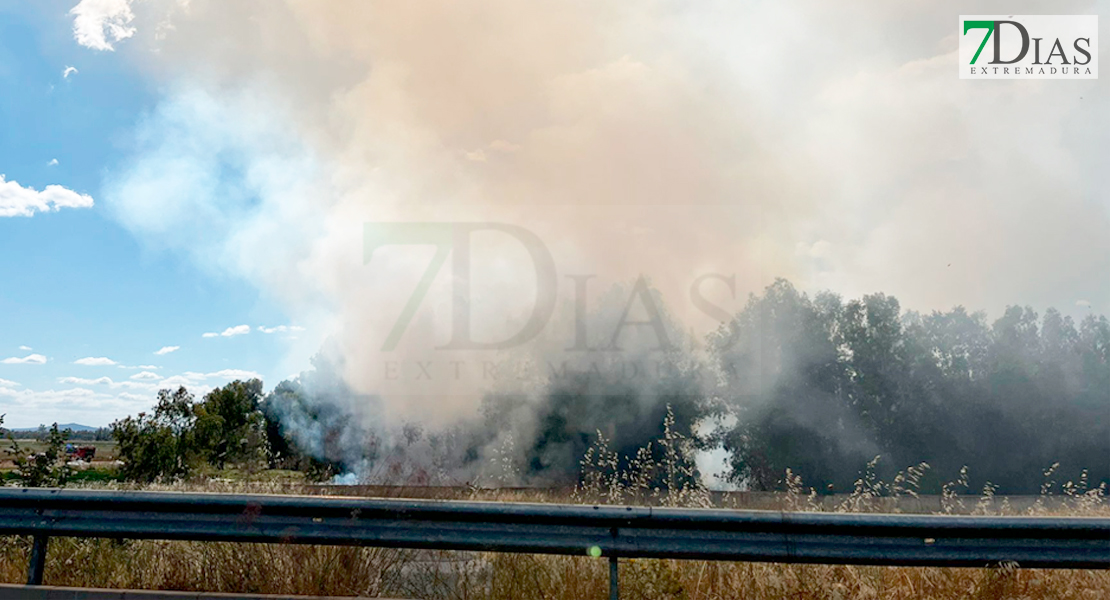 Incendio junto a la tienda Decathlon de Badajoz