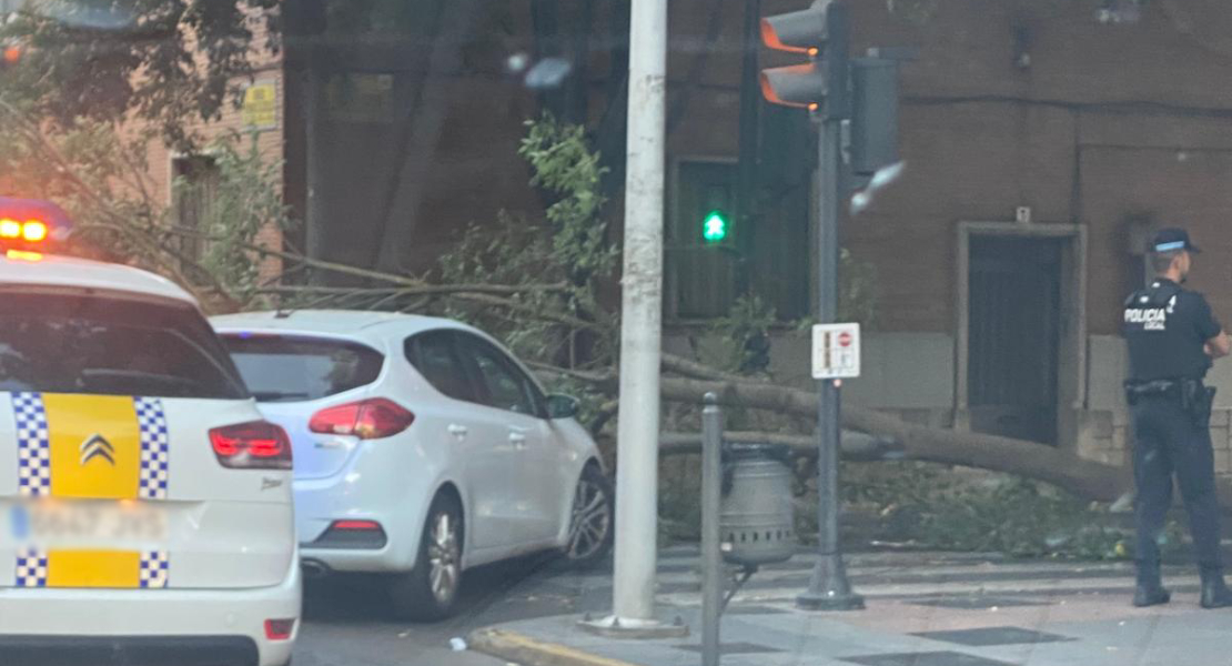 Una rama cae sobre un coche en Fernando Calzadilla y corta el paso