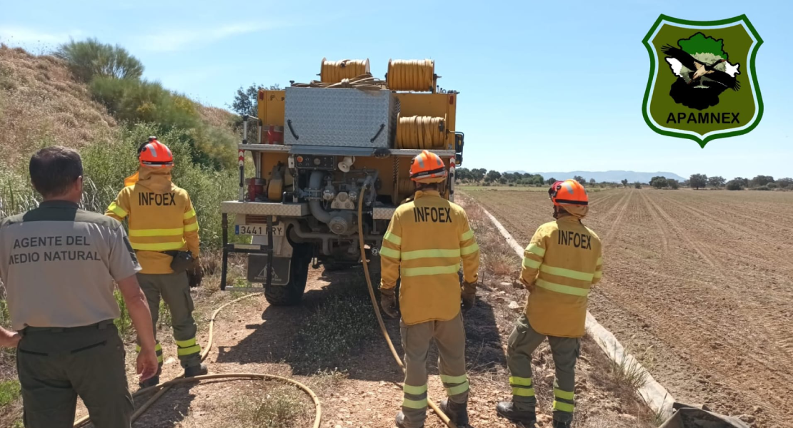 El Plan INFOEX echa 'más leña al fuego' y los Agentes del Medio Natural 'estallan'