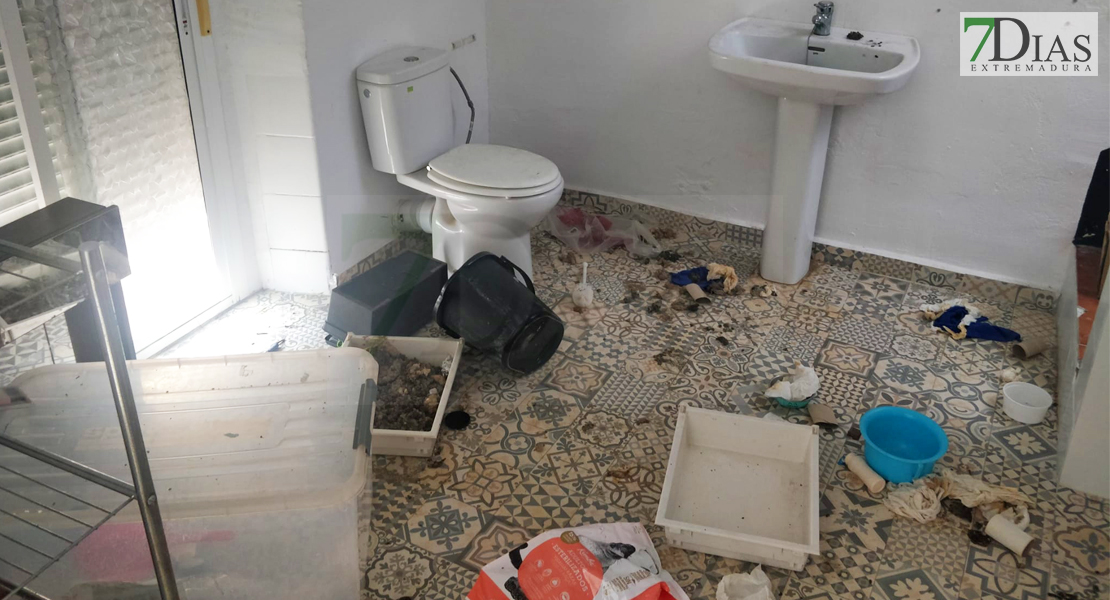 Desalojan a un inquilino que llevaba casi dos años sin pagar en Badajoz