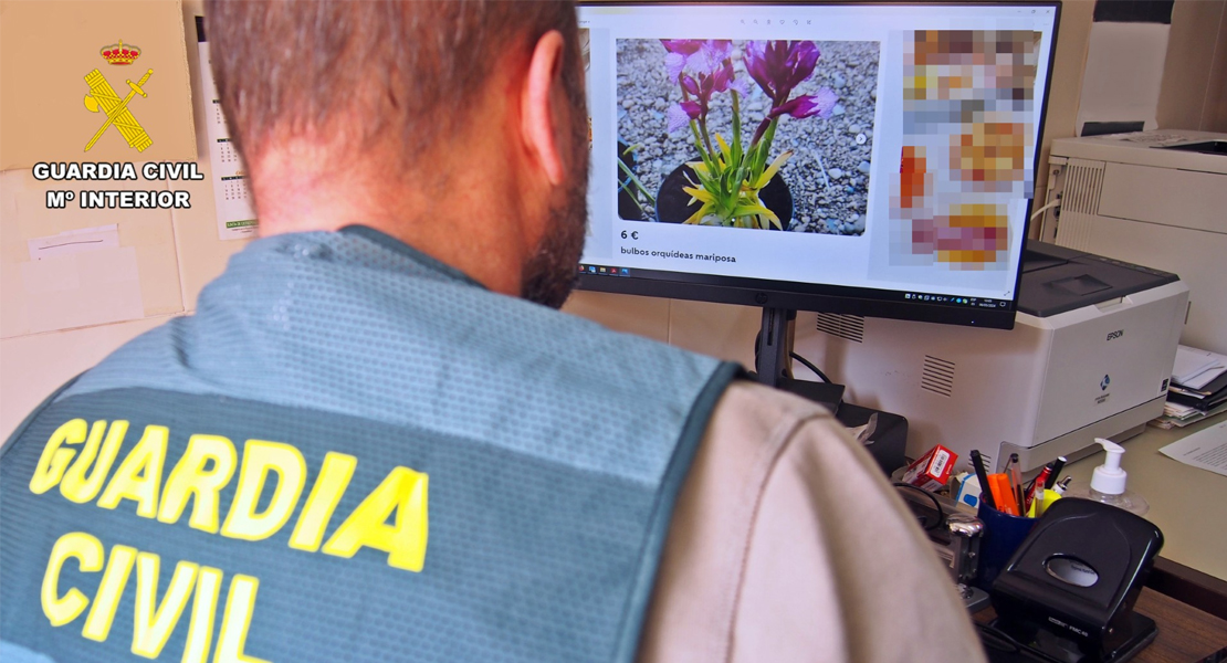 Recolecta flora protegida, la cultiva y la pone en venta en Extremadura