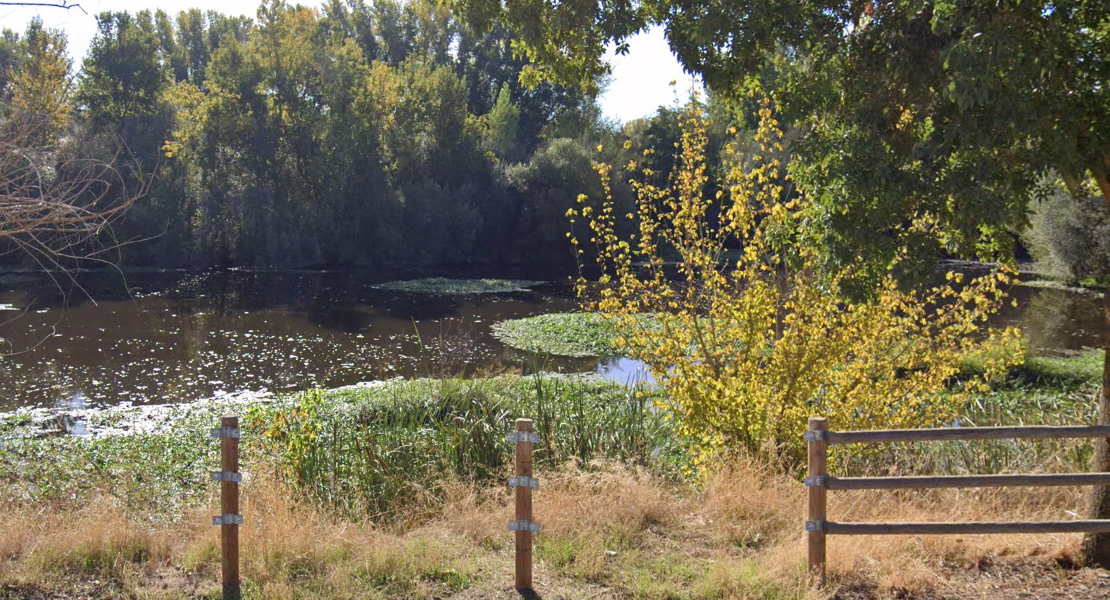 Critican el "estado lamentable" del río Alagón a su paso por Coria