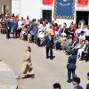 Más de 100 personas participan en la Jura de Bandera Civil de Valencia del Mombuey