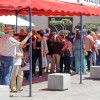 Vive la Trashumancia y la V Feria del Queso Artesano