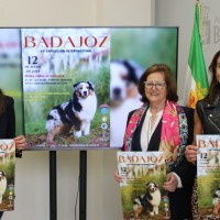 Perros de diferentes razas estarán en la Exposición Internacional de la Sociedad Canina en Badajoz