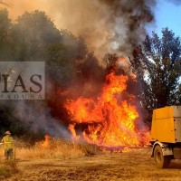 Jornadas para la gestión de quemas y prevención de incendios forestales en Extremadura