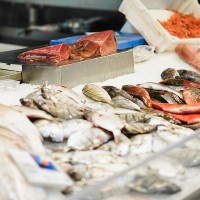 Alerta sanitaria “grave”: encuentran pescado con anisakis con destino España