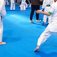 Badajoz acogerá la final provincial de Karate JUDEX 2024