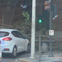Una rama cae sobre un coche en Fernando Calzadilla cortando el paso