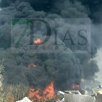 Bomberos del CPEI luchan contra las llamas en Montijo (BA)