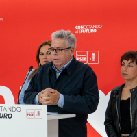 Sánchez Amor (PSOE): “Hay que evitar que en Europa la extrema derecha sea decisiva”