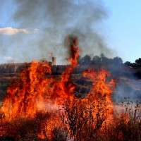 Llega la 'Época de Peligro Alto de Incendios Forestales' a Extremadura con prohibiciones